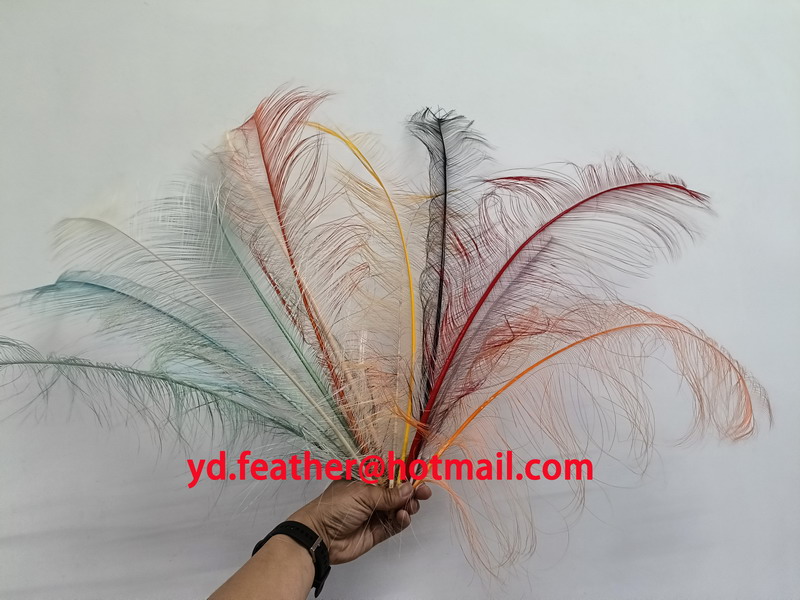 Burnt Ostrich Feather (transparent effect) From China