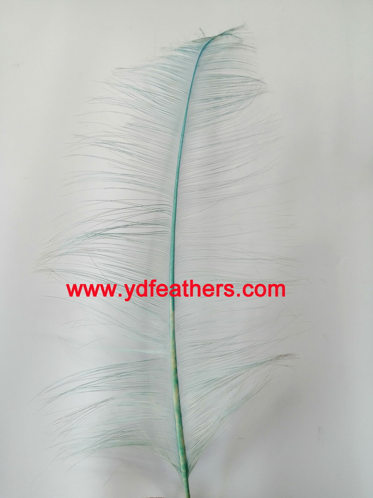 Burnt Ostrich Feather/Plume 02