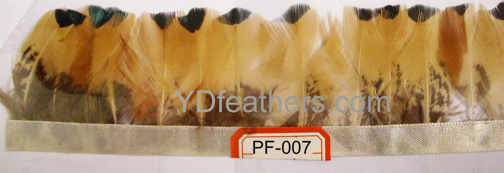 PF-007(Ringneck pheasant body feather fringe/trimming)