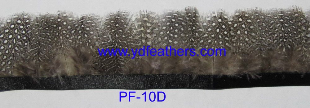 PF-010D