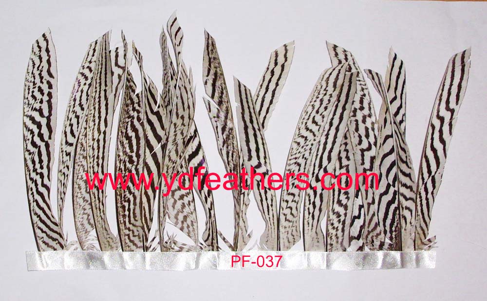 PF-037(silver pheasant feather fringe)