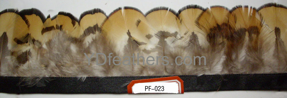 PF-023(Reeves pheasant yellow feather fringe)