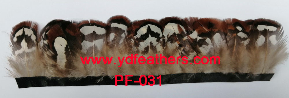 PF-031(Reeves pheasant body feather fringe/trimming)