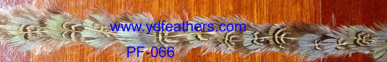 PF-066(Ringneck Pheasant Body Feather Fringe/Trim)