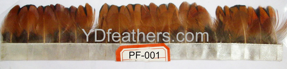 PF-001(Ringneck pheasant body feather)