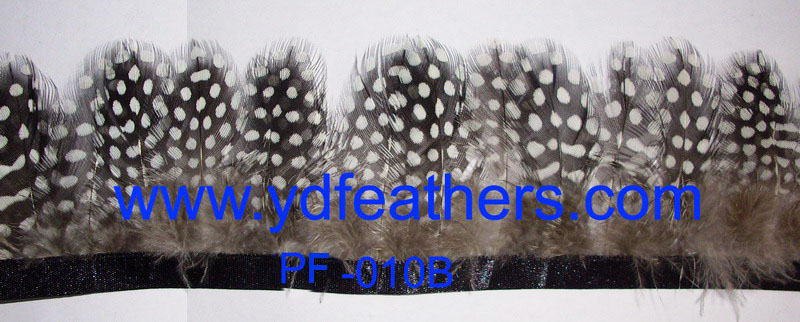 PF-010B(Guinea fowl big spot fringe)