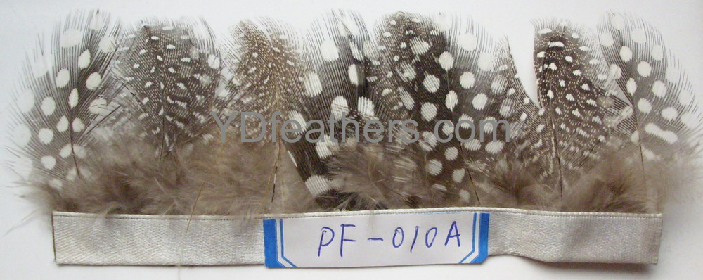 PF-010A