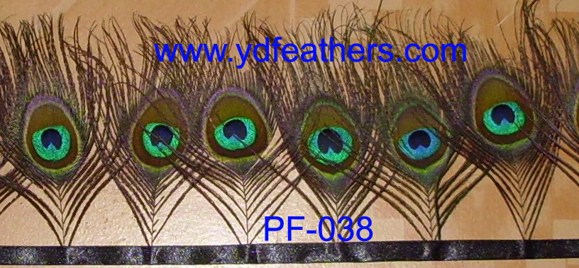 PF-038(peacock eyes fringe)