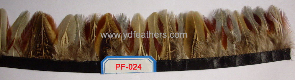 PF-024(Ringneck pheasant feather fringe/trimming)