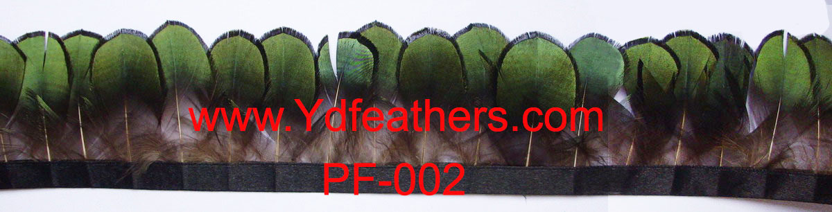 Lady Amhurst Body Feather Fringe/Trimming 5cm