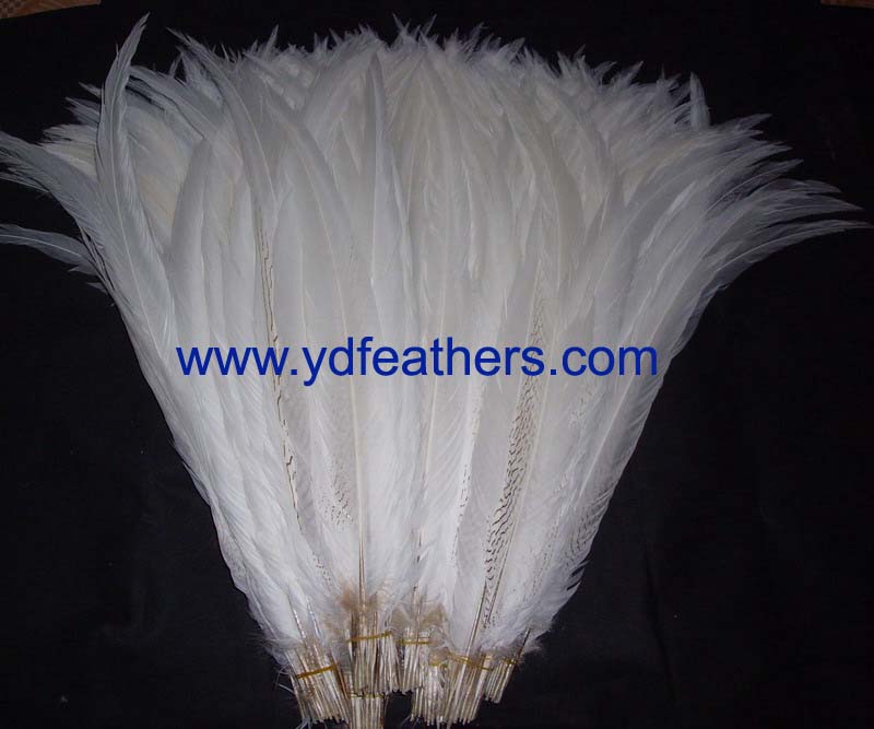 bleached silver /albino pheasant tail feathers