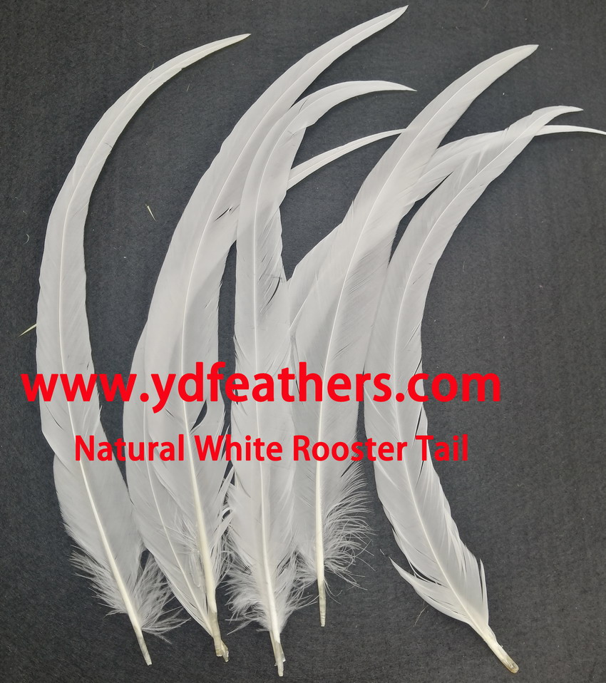 Natural white rooster tail